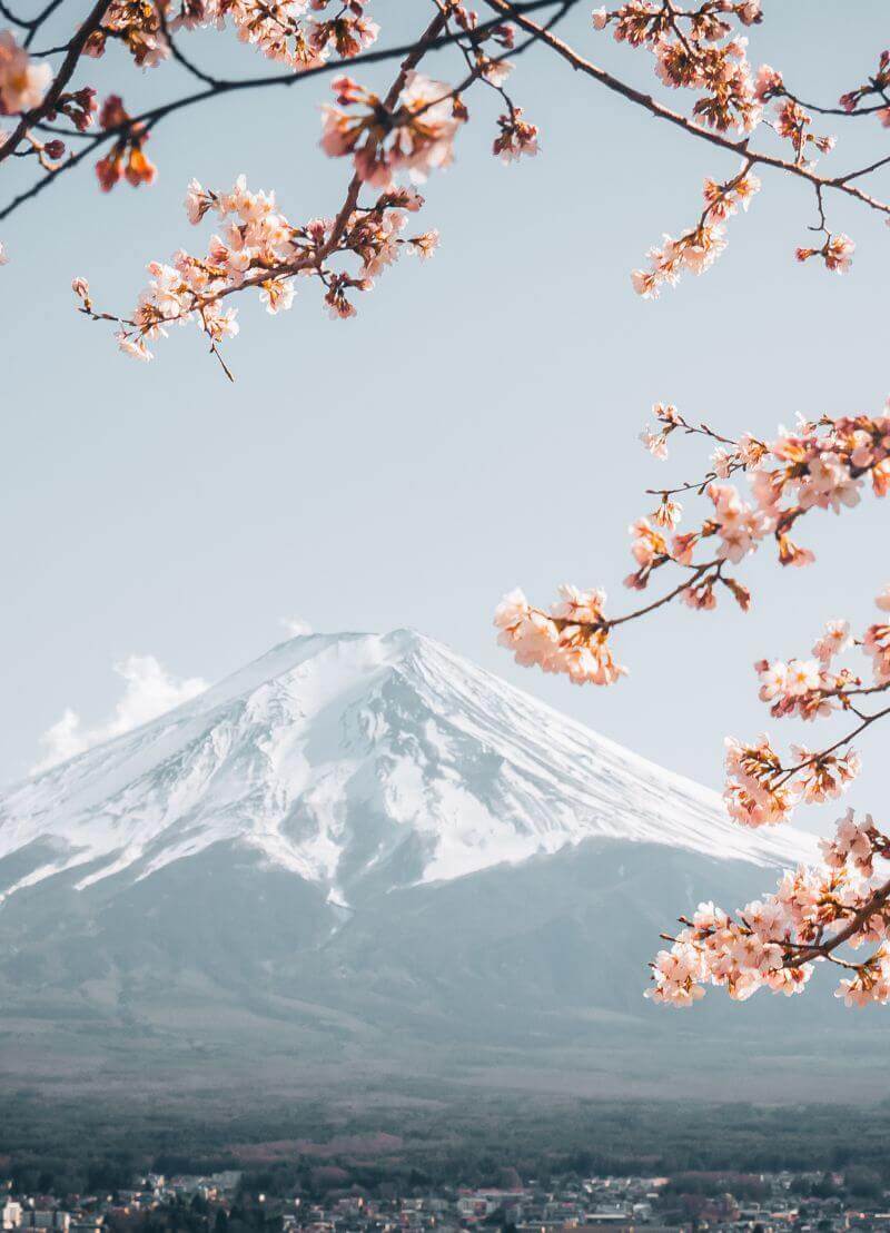 Gezond oud worden en nog kunnen genieten van je oude dag, zonder dat alles kraakt of pijn doet... het is een droom die velen van ons hebben. Wie daar uitzonderlijk goed in blijken te zijn, zijn Japanners! Japanoloog en cultuurwetenschapper aan UGent prof. dr. Andreas Niehaus vertelt waarom dat zo is. 