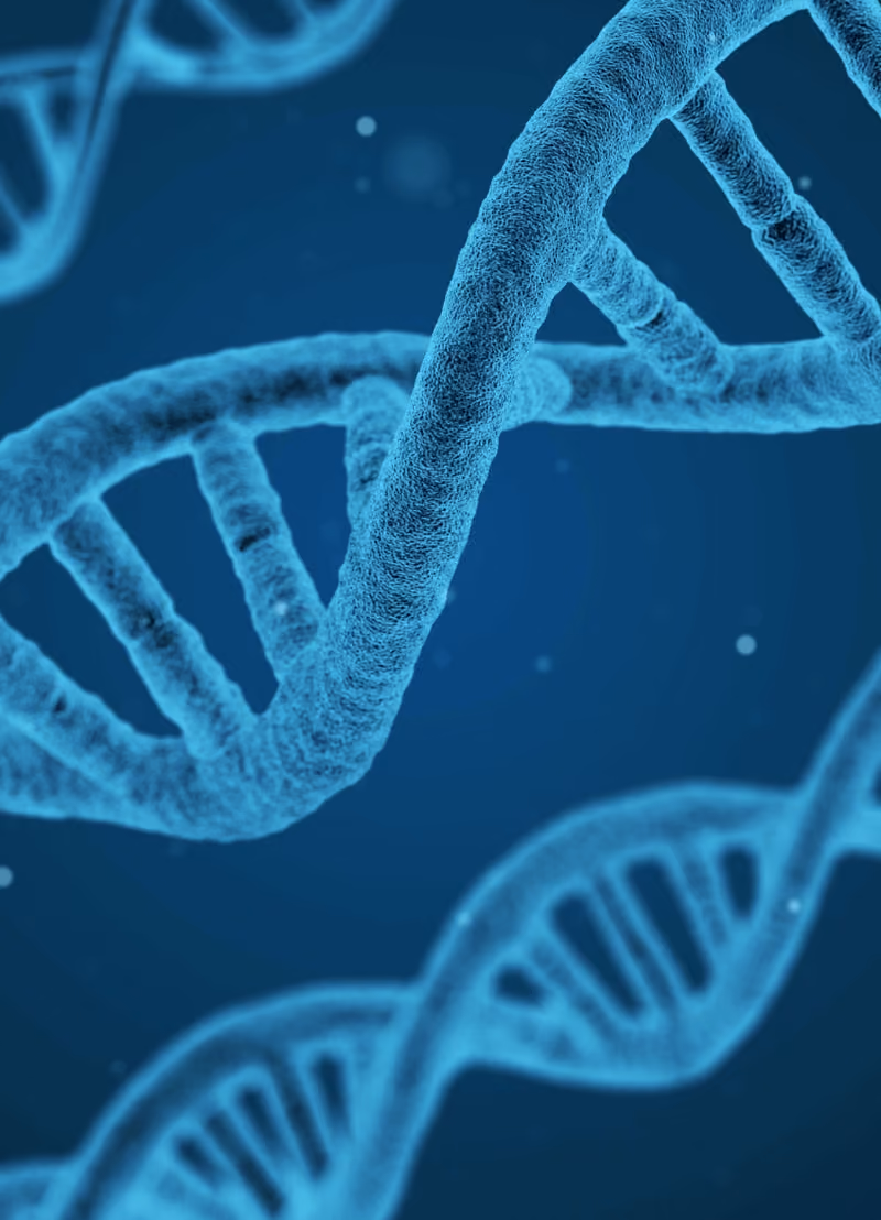 In België alleen al zijn er zijn tientallen moordzaken die maar niet opgelost geraken, daarom noemen we die cold cases. Op de crime scene is dan vaak het DNA van de dader gevonden, maar is er geen enkele verdachte die daarmee voor honderd procent matcht. En daar stopt het onderzoek dan... Of toch niet? Forensisch onderzoekster dr. Sofie Claerhout aan de KU Leuven heeft een nieuwe manier gevonden om een dader via zijn DNA toch nog op te sporen. 
