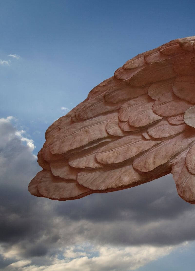 Het ei van Columbus, de ridder zonder hoofd of Rembrandt's racefiets,... Iedereen kent wel een broodje-aap-verhaal. Soms is het overduidelijk dat deze verhalen niet waar zijn, soms twijfelen we ondanks de onwaarschijnlijkheid aan de feiten. Hoe komt het dat deze verhalen tóch blijven circuleren? Dr. Peter Burger (Universiteit Leiden) deed er onderzoek naar!