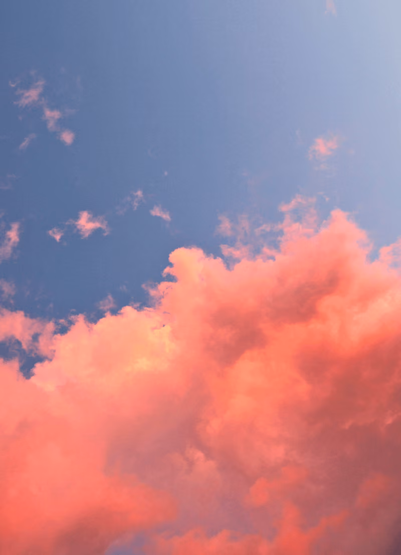 Leven alle mama's op een roze wolk? Vroedvrouw Roxanne Bleijenbergh (Ziekenhuis Netwerk Antwerpen, onderzoeker AP Hogeschool Antwerpen en doctoraatsstudent Universiteit van Antwerpen) komt vertellen dat zwangerschap en moeder worden niet voor iedereen een pretje is. What’s Up Mama. Ben jij zwanger of net mama geworden? Check of jij goed in je vel zit en krijg advies op maat! www.whatsupmama.be De website werd ontwikkeld met de steun van de AP Hogeschool Antwerpen, Interreg 2 seas project PATH en de Provincie Antwerpen.