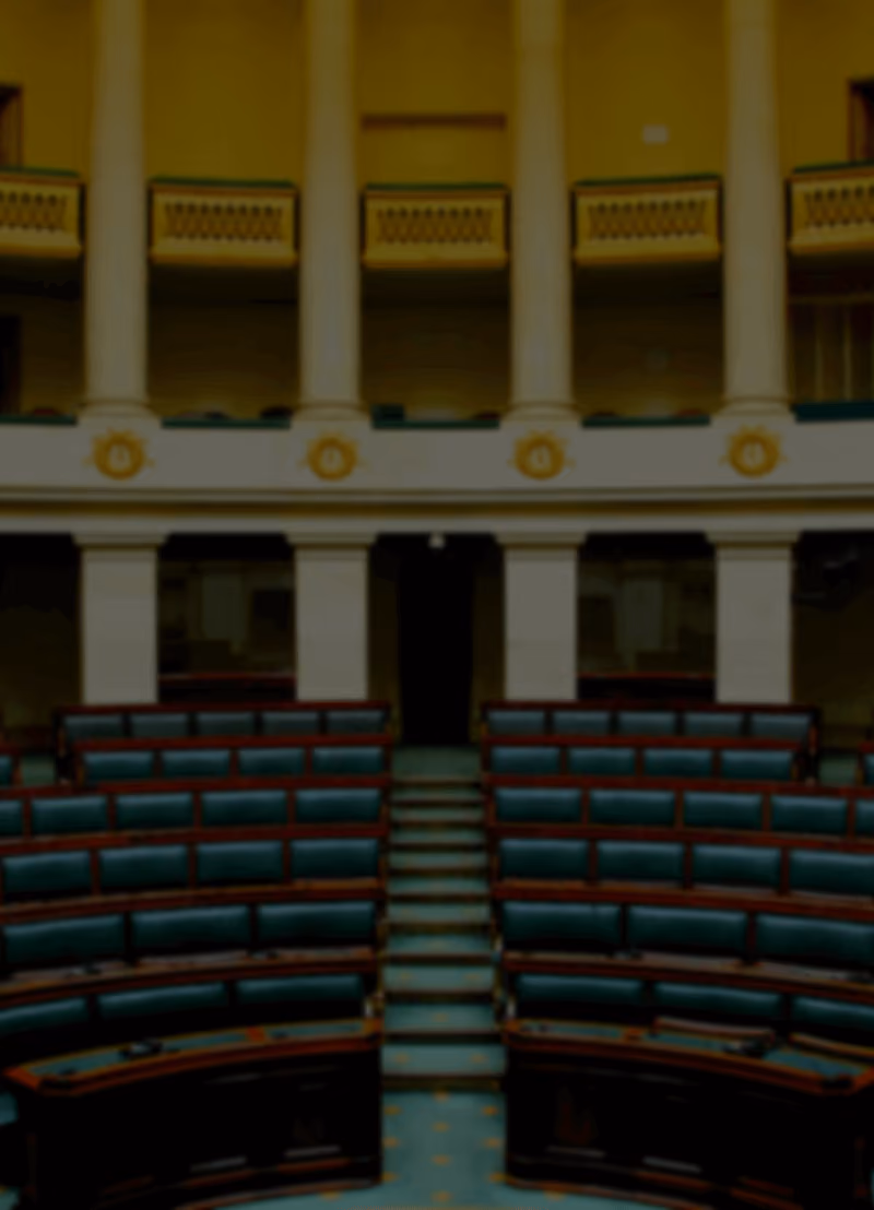 Om te vermijden dat alle 11 miljoen Belgen om de haverklap naar Brussel moeten afzakken om te stemmen over belangrijke en minder belangrijke zaken, hebben we 150 zogenaamde volksvertegenwoordigers uitgekozen. Hoe kan dat kleine groepje ooit spreken voor elk van die 11 miljoen? Wij nodigden VUB-politicoloog Eline Severs uit om de ware betekenis van representatie uit de doeken te doen.