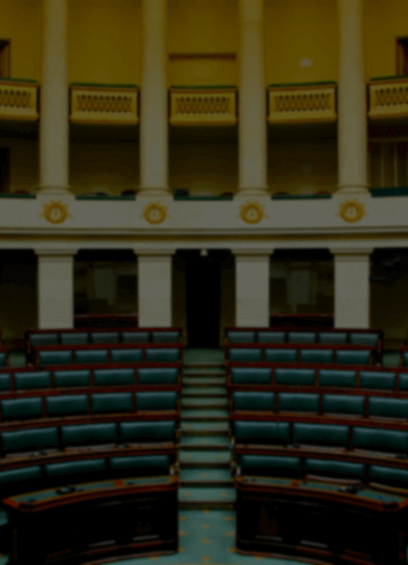 Om te vermijden dat alle 11 miljoen Belgen om de haverklap naar Brussel moeten afzakken om te stemmen over belangrijke en minder belangrijke zaken, hebben we 150 zogenaamde volksvertegenwoordigers uitgekozen. Hoe kan dat kleine groepje ooit spreken voor elk van die 11 miljoen? Wij nodigden VUB-politicoloog Eline Severs uit om de ware betekenis van representatie uit de doeken te doen.