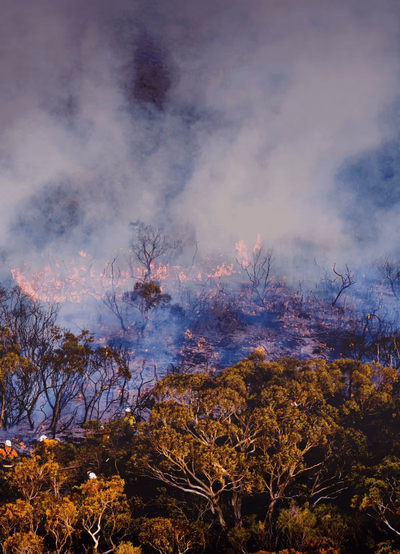 Het klimaat staat op zijn kop en dat heeft gevolgen voor de natuur. Je herinnert je uit het nieuws vast hartverscheurende beelden met duizenden hectares aan bos dat in vlammen opgaat. Wat weinig mensen niet weten, is dat deze bosbranden juist goed zijn voor de natuur. Tim Soens is milieuhistoricus aan de UAntwerpen en komt ons vertellen waarom bosbranden soms ook nodig zijn.