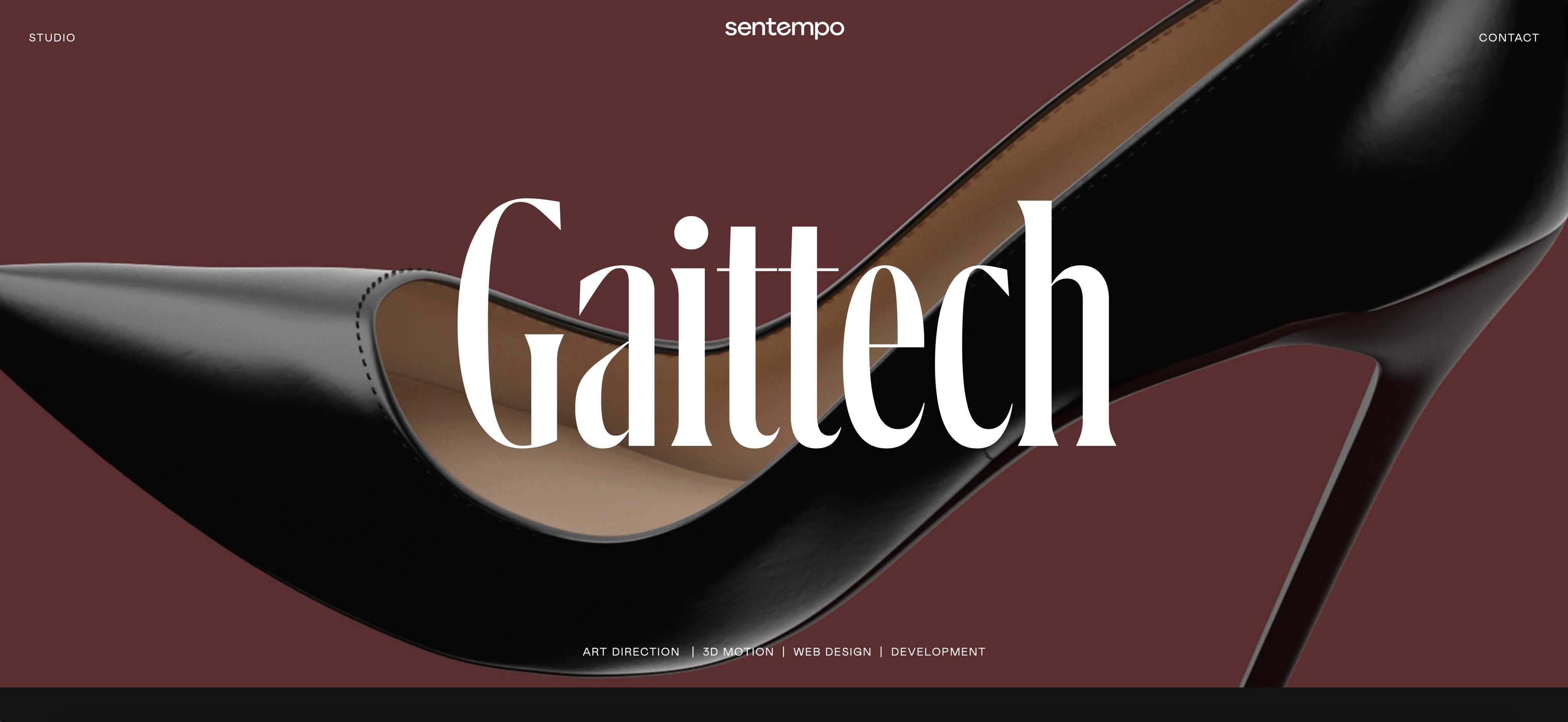 Screenshot des Portfolios auf der Website von Studio Sentempoi