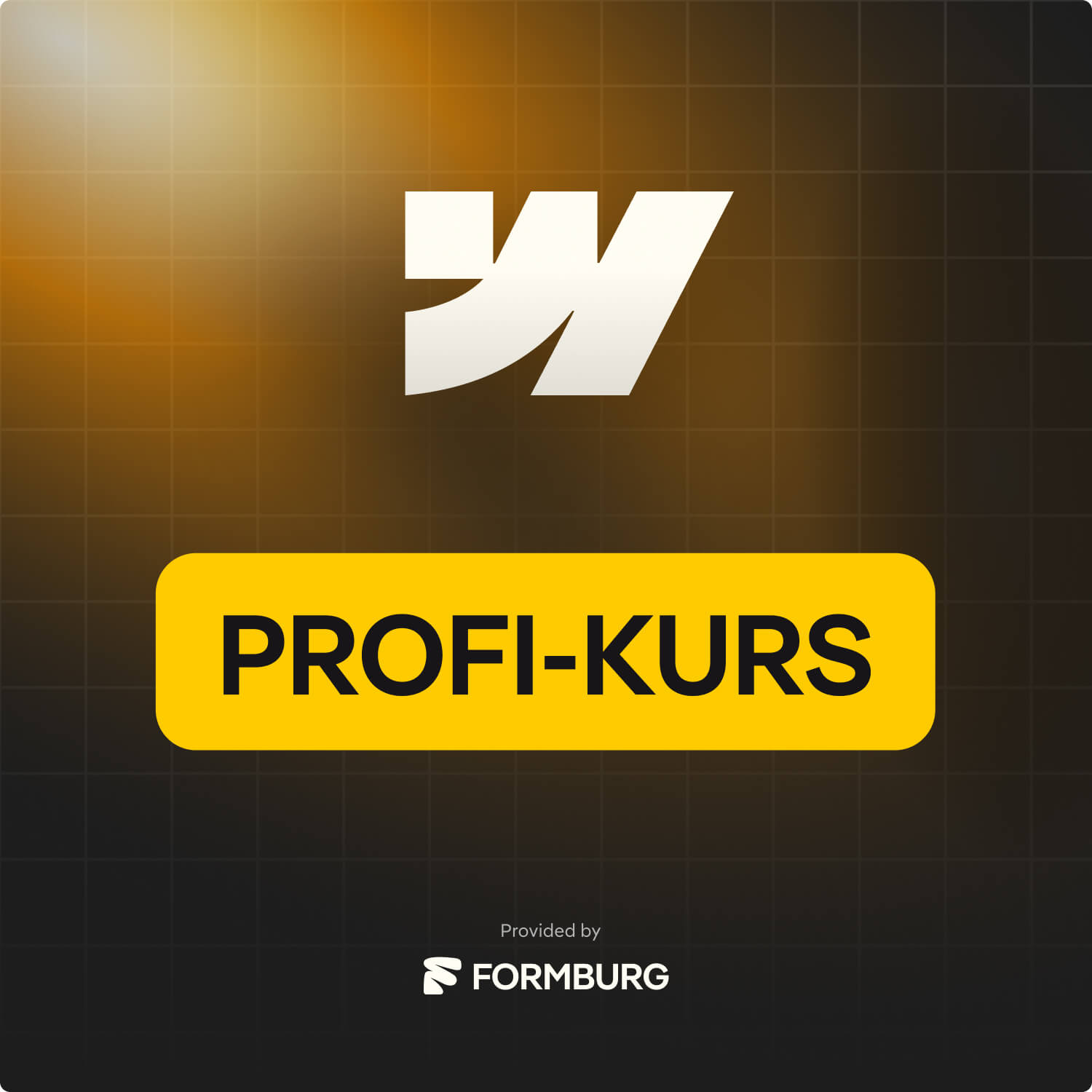 Webflow Profi-Kurs