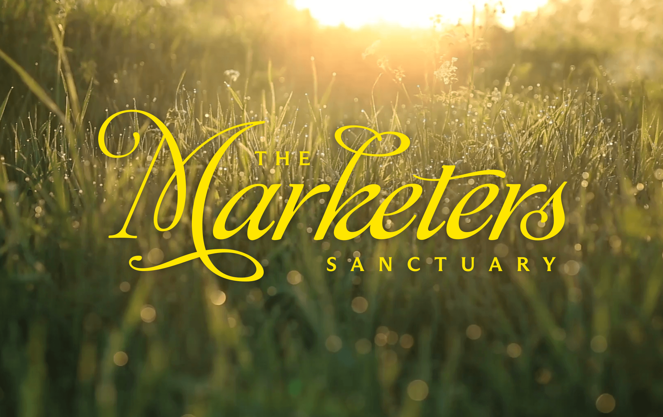 marketers sanctuary webinar