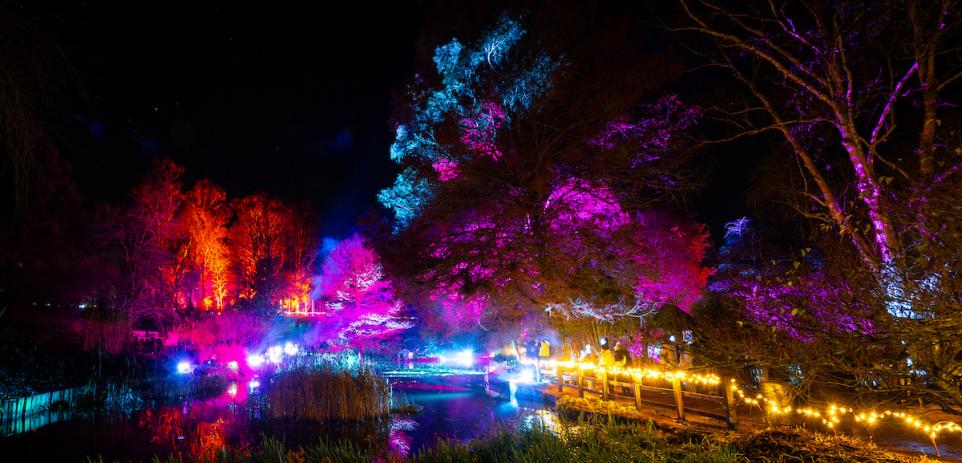 Light Up Trails At Hillier Gardens Award Winning Christmas Light 