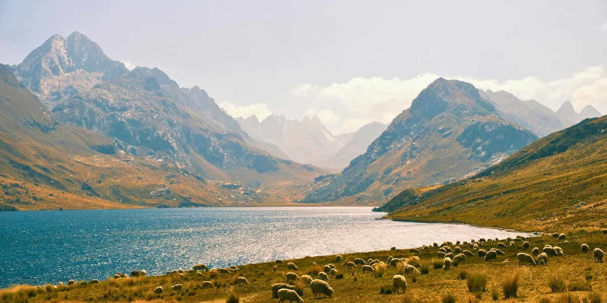 Did I Just Give God Permission? 