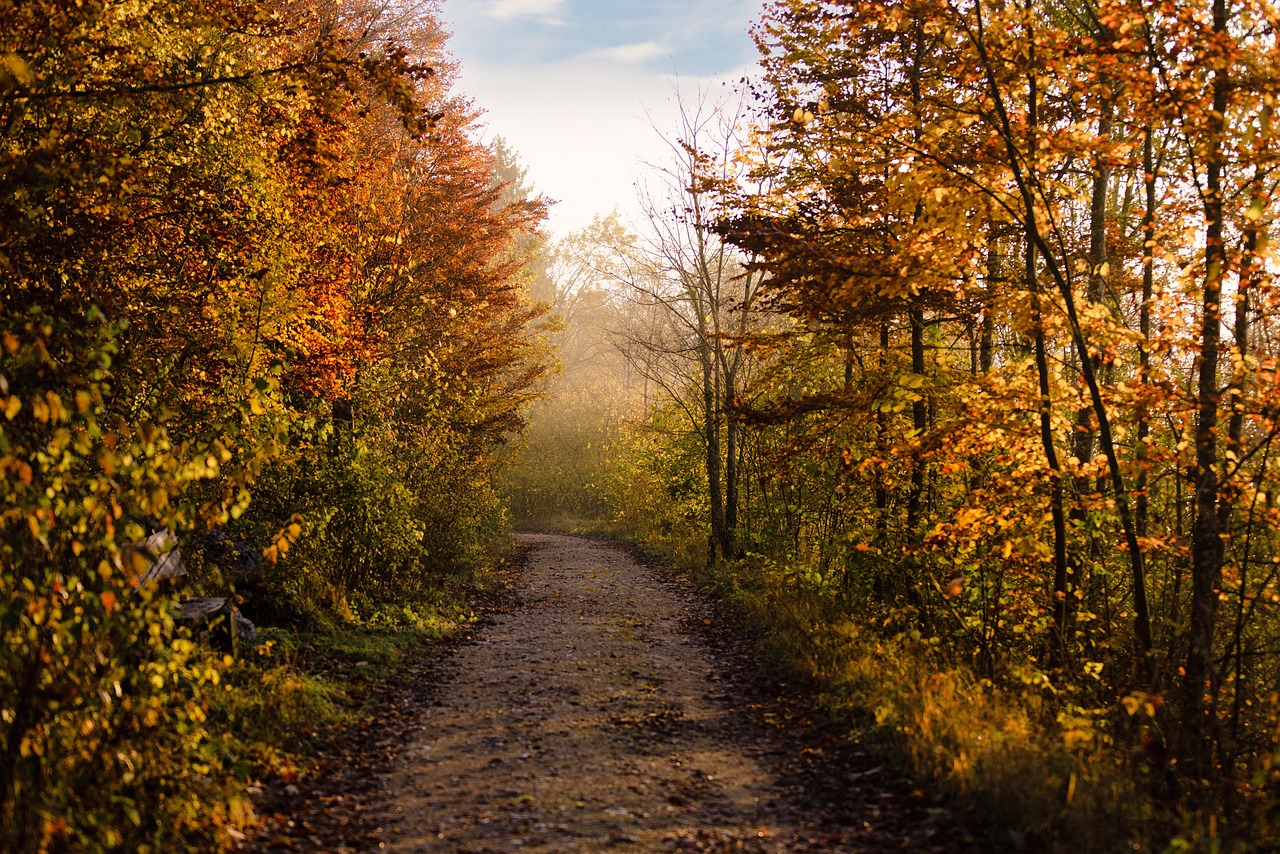 shutdown, government shutdown, operations, backlogs, slowdown, staff, government staff, EDGAR, contacts SEC, RIAs, Private Funds, compliance, coast to coast compliance, independent compliance consultant, compliance program review, annual compliance review, policies, investment advisers, broker dealers, division of enforcement, OCIE, security exchange act of 1943, investment advisers act of 1940, advisers act, New deal, investment adviser review, SEC registered investment advisers, form adv, IA annual requirements, Form ADV, Form CRS, Annual Updating Amendment, Form ADV Annual Updating Amendment, SEC Requirements, Annual requirements, SEC annual requirements, FINRA, IARD, regulation best interest, fair valuation rules, procedures, communications, electronic communications, penalties