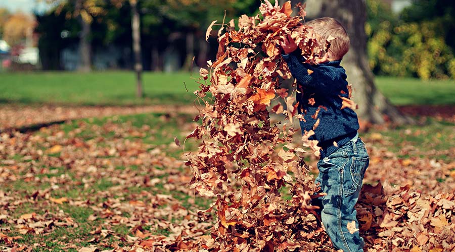 Boy playing outdoors with fall leaves
