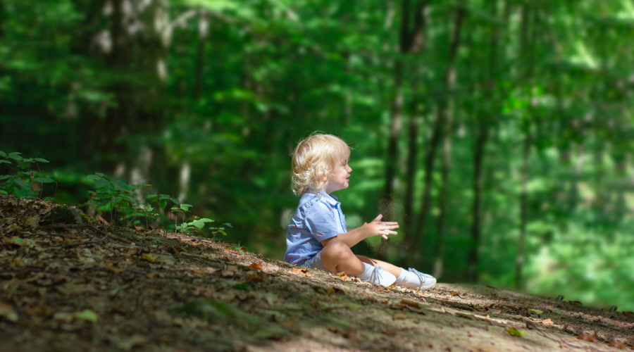 A photograph of a pre-school-aged boy, sitting in the woods
