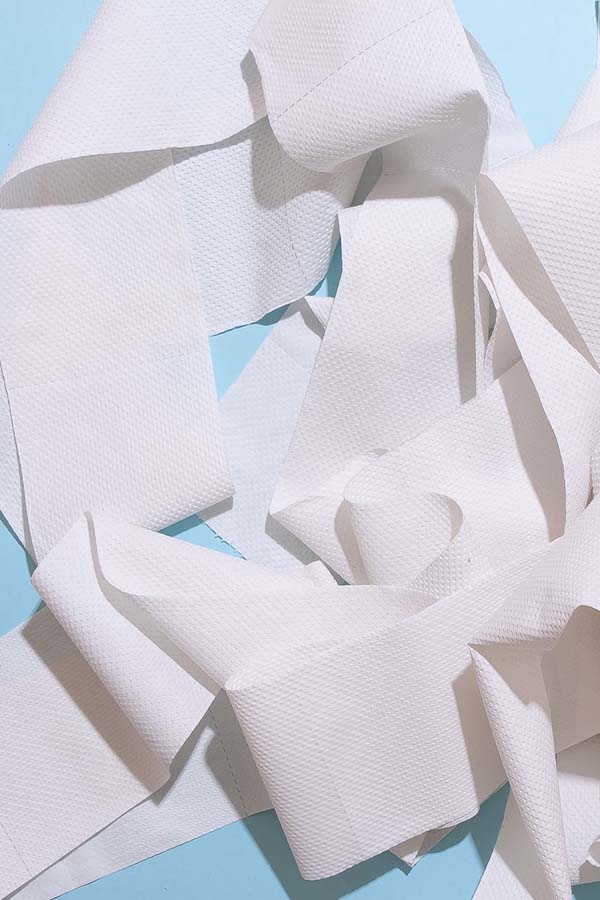 Toilet paper being used to reproduce bug cocoons