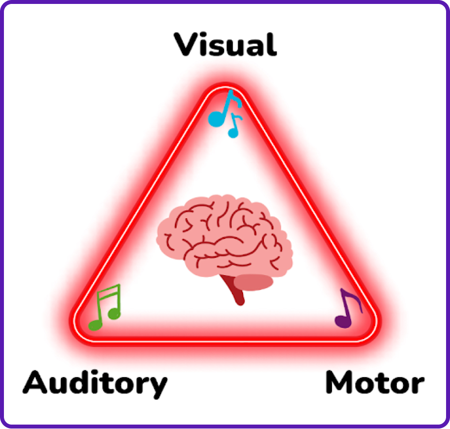 An illustration of the 'Magic Triangle' labelled with Visual, Motor, and Auditory, one at each corner. There is an illustraiton of a brain in the centre.