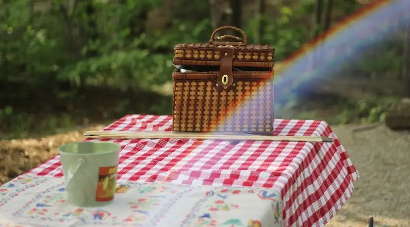 picnic basket on a red and white cover in a forest