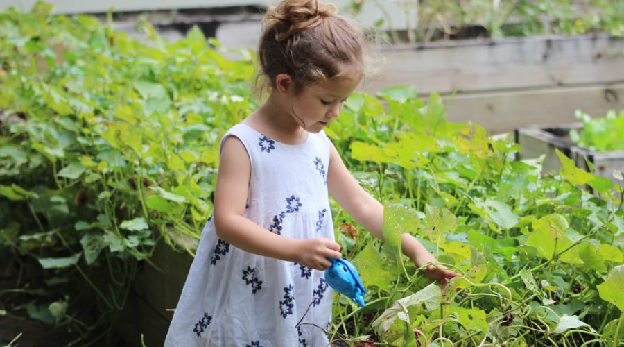 Girl gardening