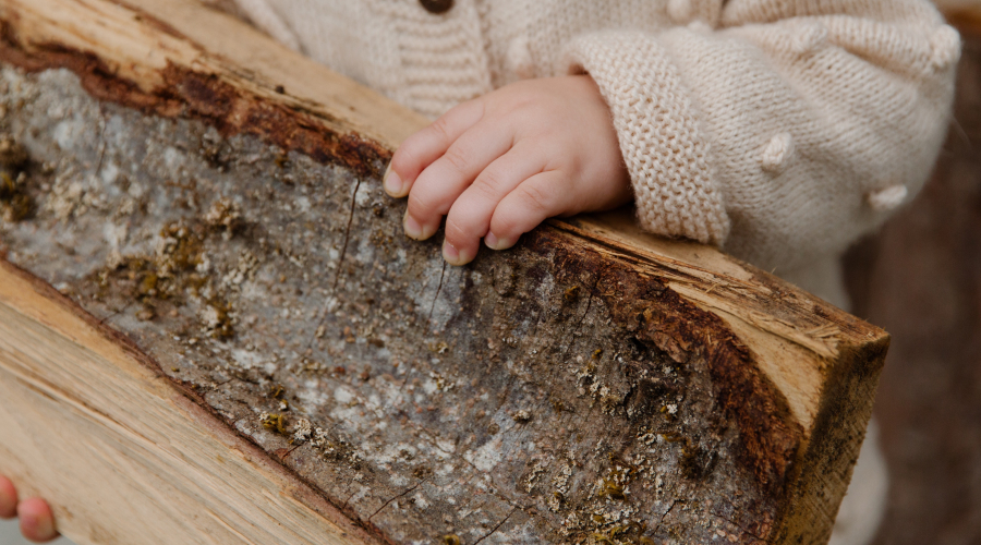 A toddler's hand on some tree bark.