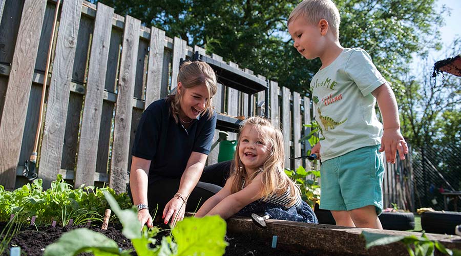 An Early Years educator shows two young children how to plant vegetables in a bed of soil.