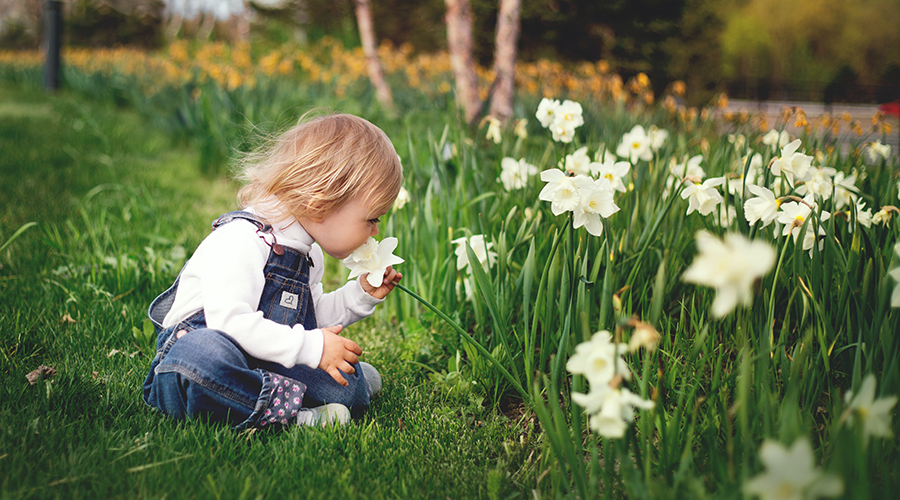 Little girl sitting on the grass smelling a flower