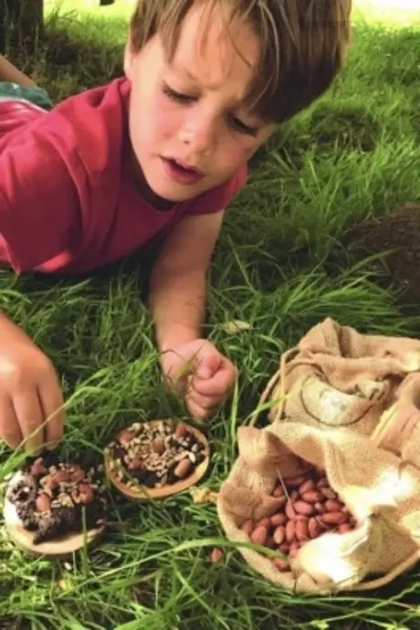 __wf_reserved_decorative