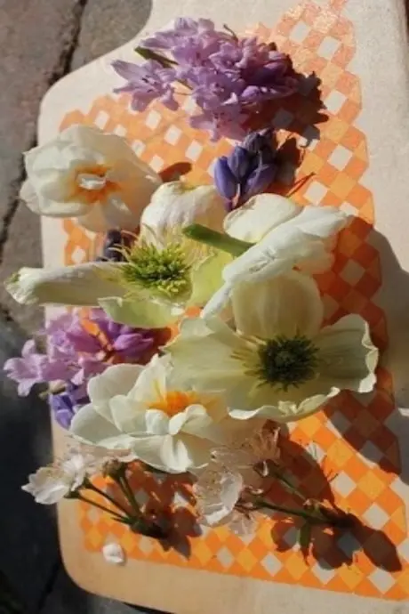 __wf_reserved_decorative