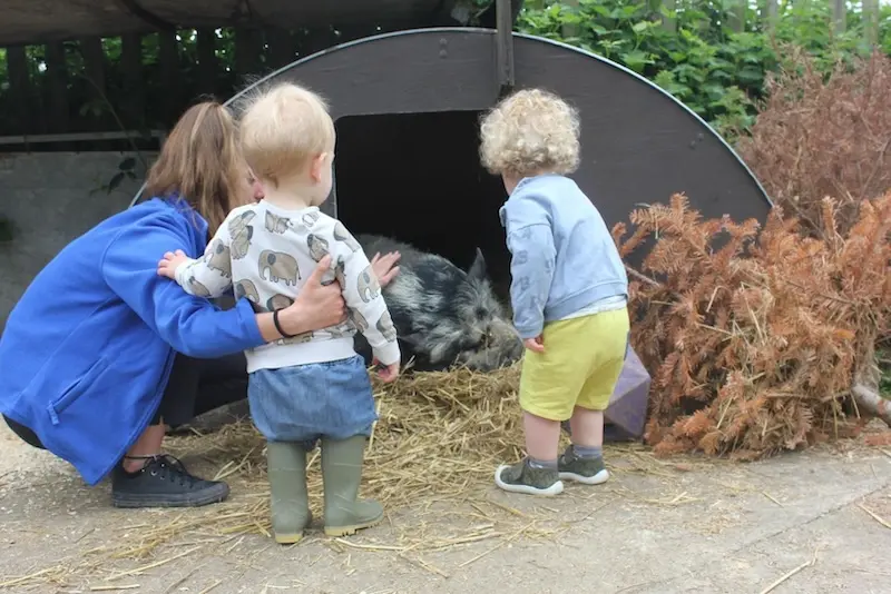 A woman and two toddlers are interacting with a small pig resting in a straw-lined shelter. The scene conveys curiosity and warmth.
