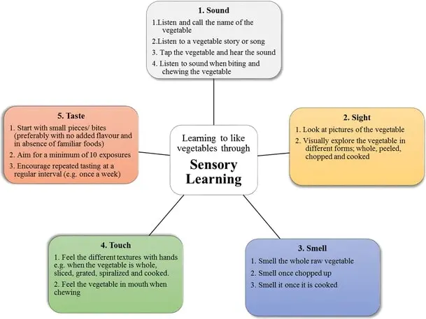 Diagram on lLearning to like vegetables through sensory learning, with sound, sight, smell, touch, and taste.