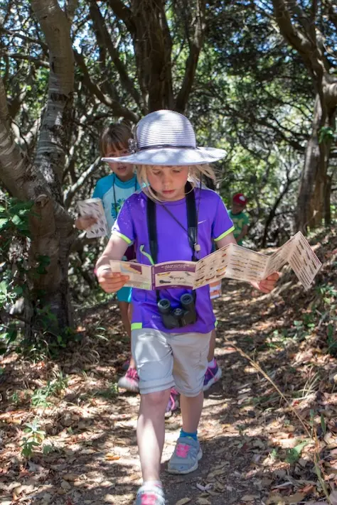 kids in forest looking for birds