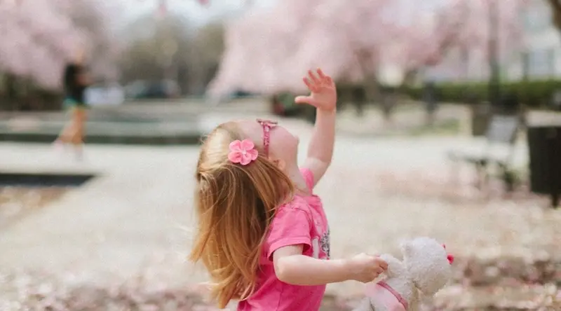 __wf_reserved_decorative