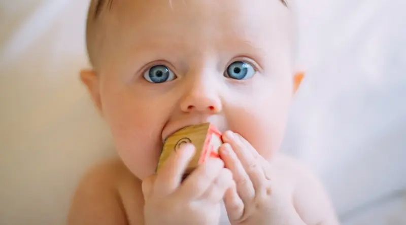 Blue-eyed baby munching on a wooden cube