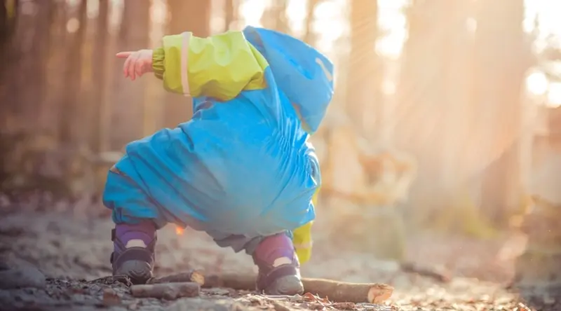 __wf_reserved_decorative