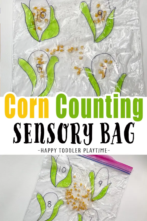 Corn counting sensory bag