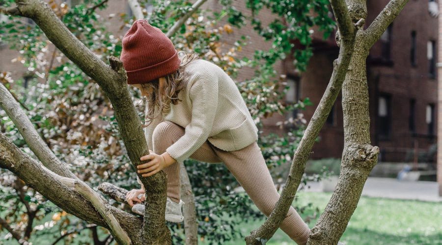 Girl climbing a tree