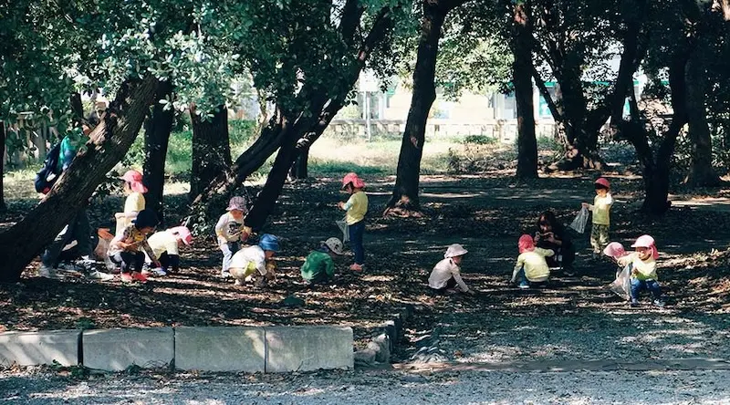 Pre-school children playing in a shady, wooded area