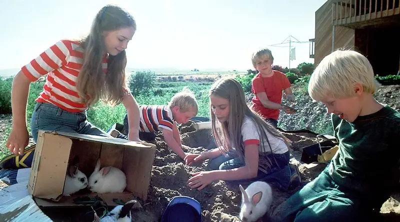 Five children tend to a litter of rabbits, in the countryside