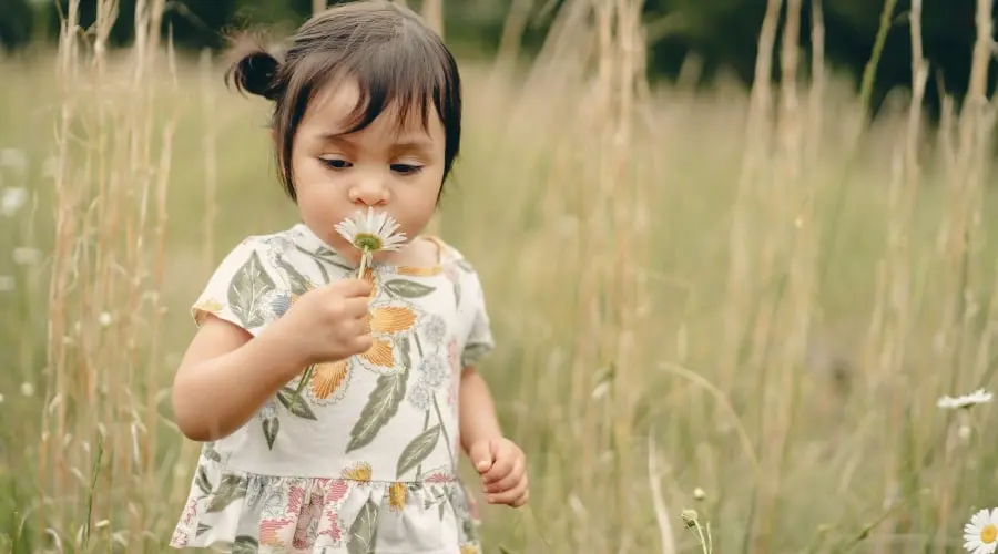 Little girl smelling a flower