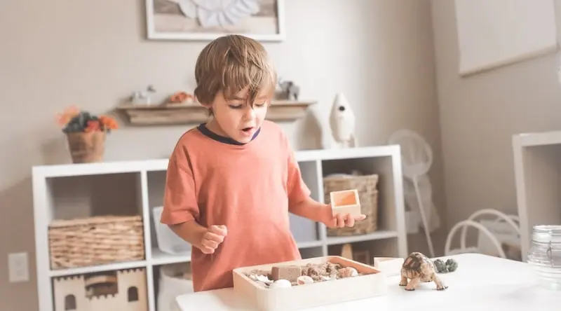 Boy looking with excitement at toys