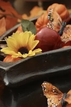 Autumn nature's table with yellow flowers, pumpkins and butterflies