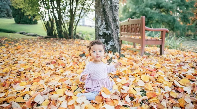 Toddler posing in pink dress amongst yellow leaves