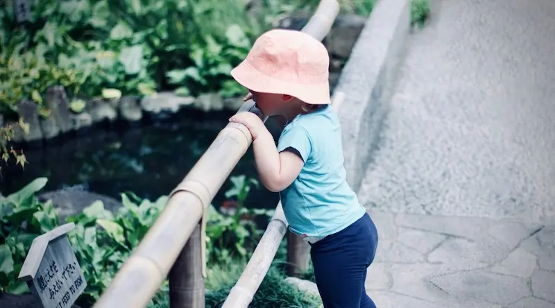 Child in pink hat leaning over a bamboo railing looking into a pond