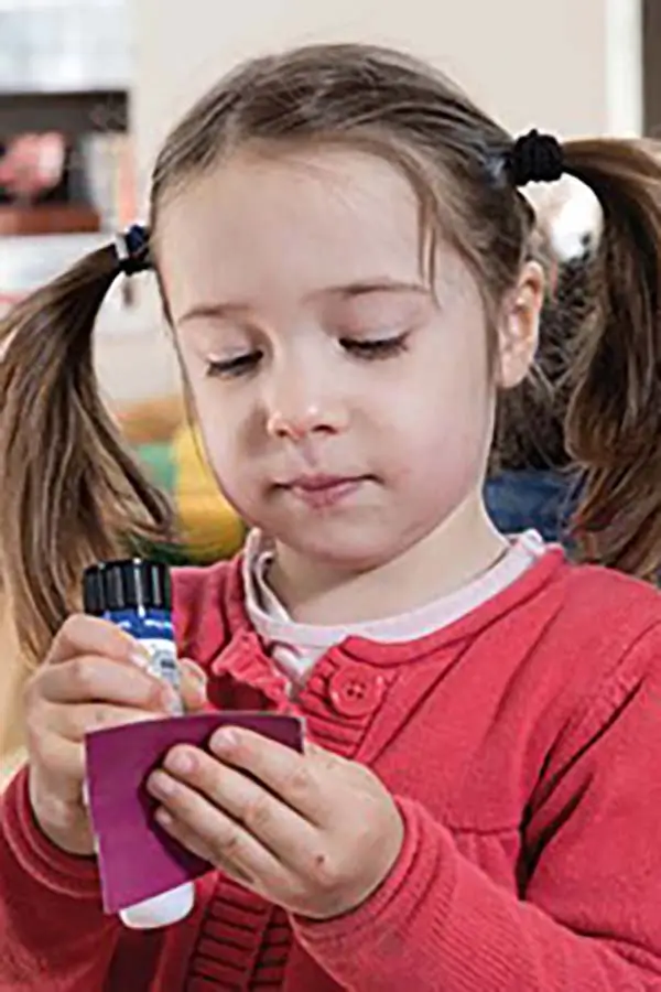 Loose parts model building is a good example of connecting play schema