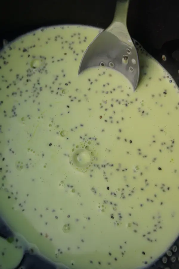 Soup looking like substance