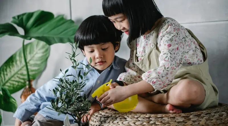 Two kids watering a house plant