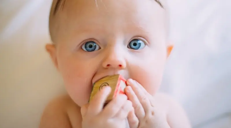 A young baby mouths a wooden block in their early years setting.