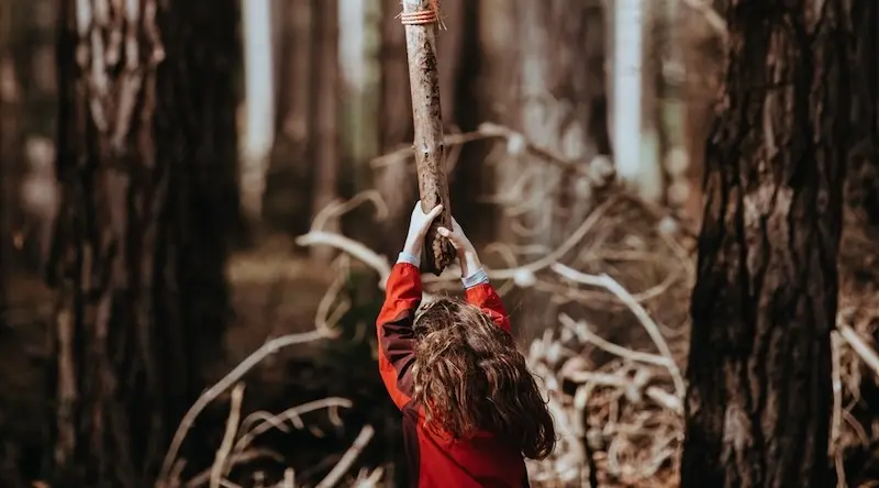 Child in a red jacket reaches up to grab a large stick suspended in a forest, surrounded by tall trees. The scene conveys adventure and playfulness.