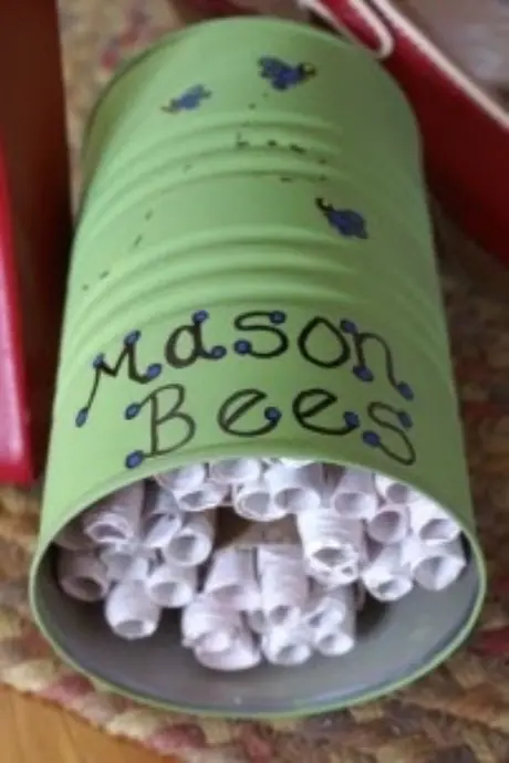 Green tin can labeled "Mason Bees" with playful bee illustrations. Filled with rolled paper tubes, it serves as a DIY habitat, suggesting a creative, eco-friendly approach.