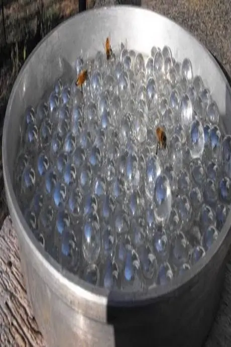 A metal bowl filled with clear water beads, reflecting light. Three bees rest on the beads, creating a calm and natural outdoor scene.