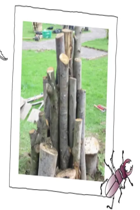A stack of variously sized logs arranged vertically on grass, surrounded by scattered tools and a green bin in the background. A cartoon beetle is drawn on the frame.