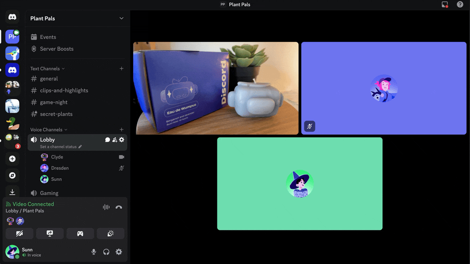 An ongoing video call on Discord.