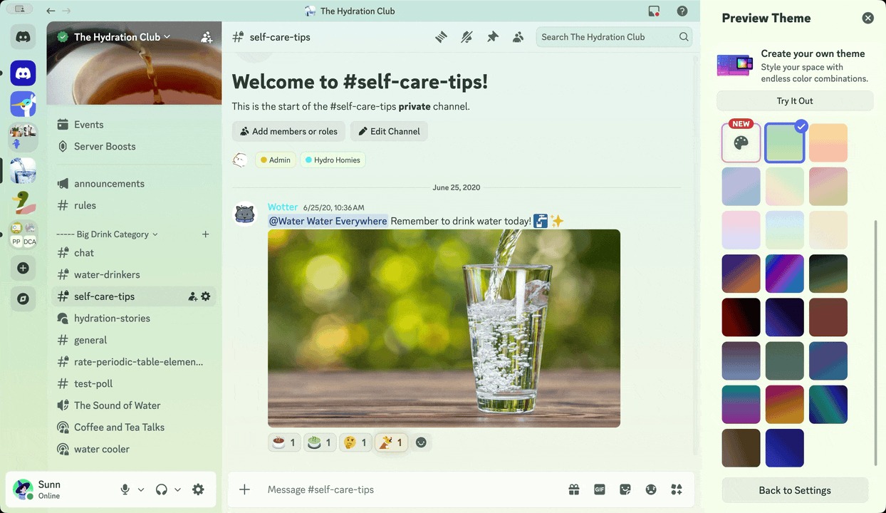 A screenshot of the Theme Preview option, allowing users to see what a particular theme looks like. 