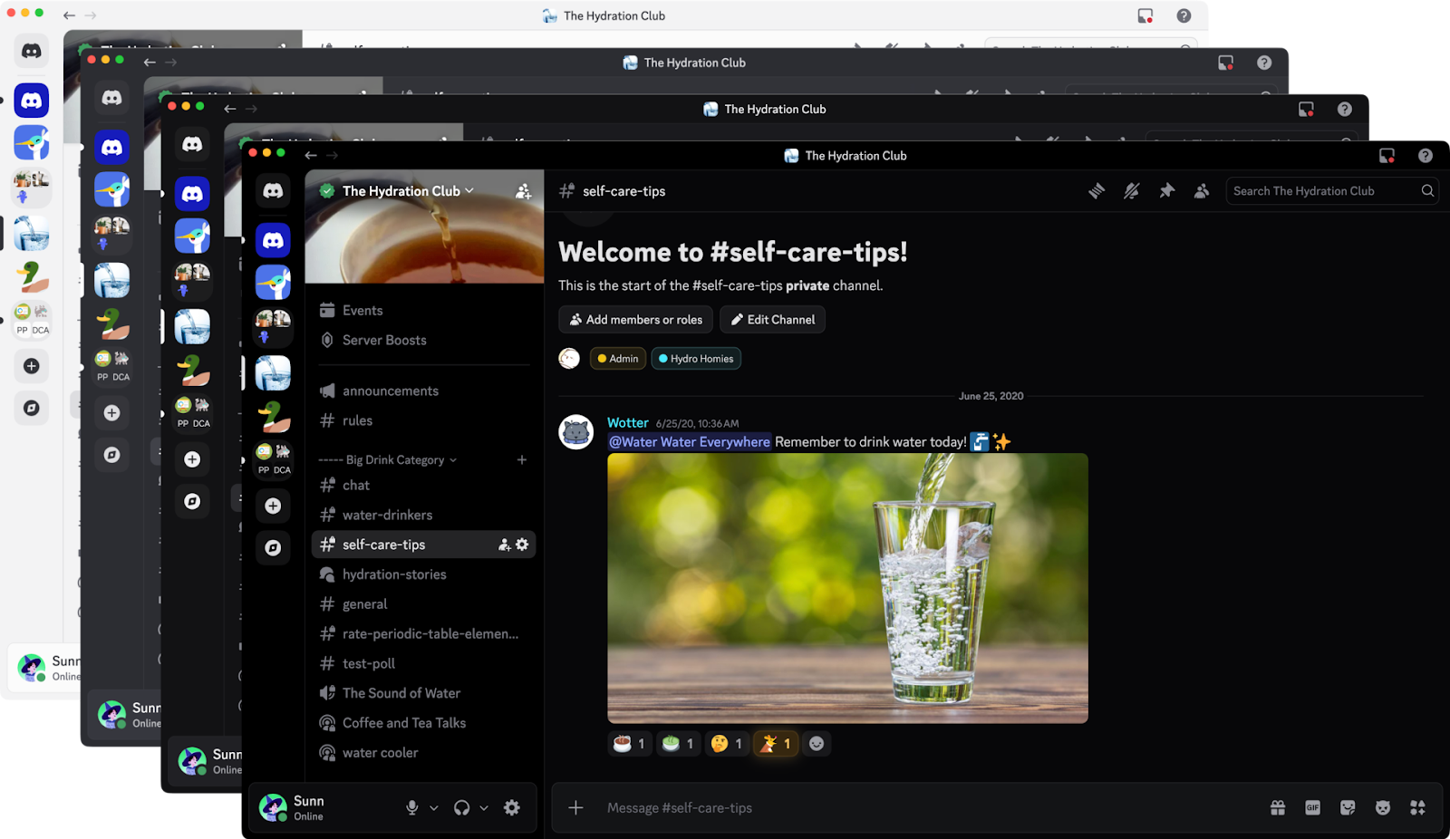The four default themes.